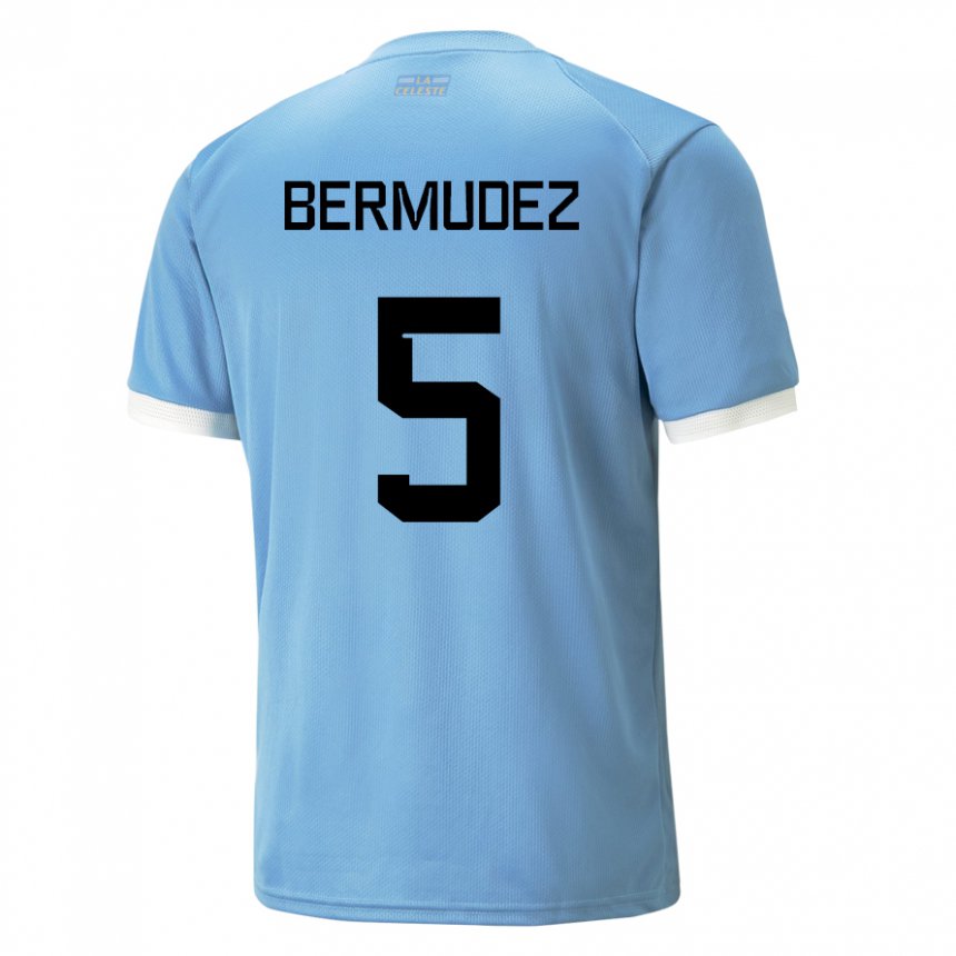 Homem Camisola Uruguaia Karol Bermudez #5 Azul Principal 22-24 Camisa Brasil