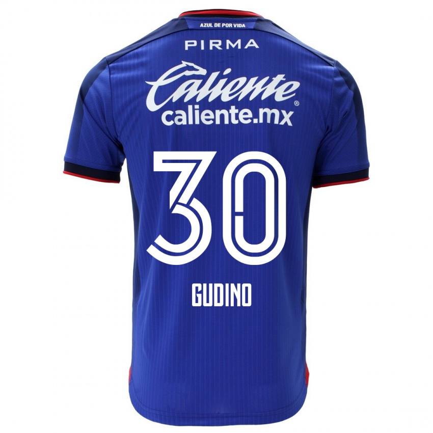 Homem Camisola Andres Gudino #30 Azul Principal 2023/24 Camisa Brasil
